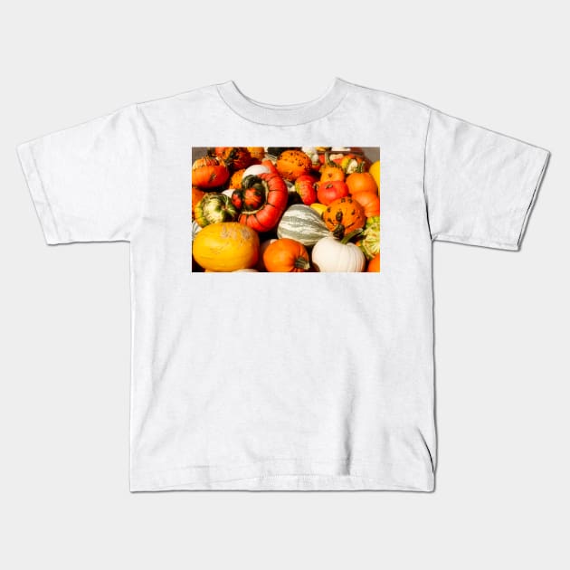 Fall Squash 1 Kids T-Shirt by Robert Alsop